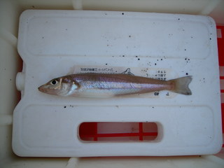 |2009.8.13-3.JPG